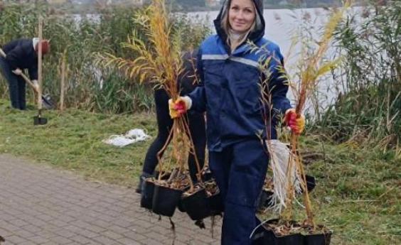 ��������������� ���������